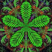 Corel Painter иконка