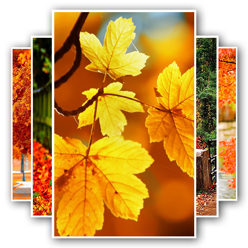 Free Autumn Wallpaper icon