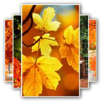 Free Autumn Wallpaper