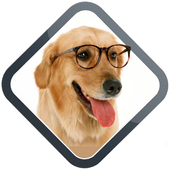 Dog Training Apps icon