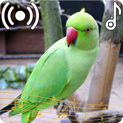 Parrot Sounds Ringtone icon