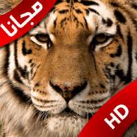 أصوات الحيوانات للاطفال جميعها صوت وصورة بدون نت on 9Apps
