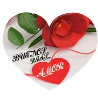 good morning my love