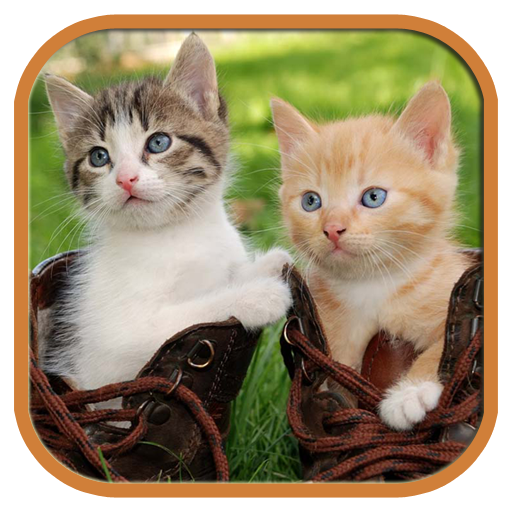 Funny Cats Tile Puzzle icon
