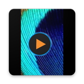 Mix Player icon