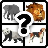 Animals Quiz