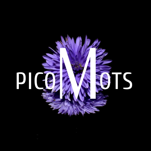 PicoMots icon