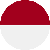 Indonesia VPN icon
