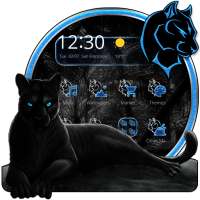 Spiteful Black Pantera Theme on 9Apps