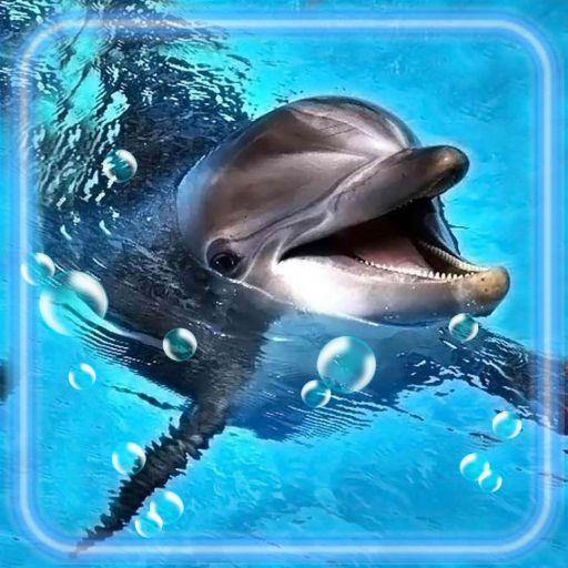 Dolphins Frendly Live Wallpaper icon