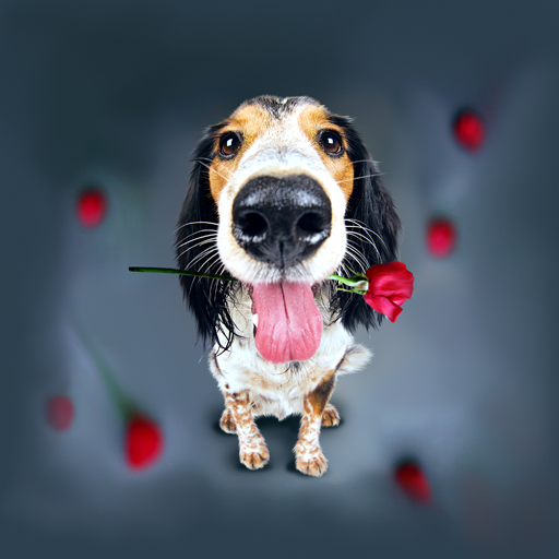 Animals Cute Live Wallpaper icon