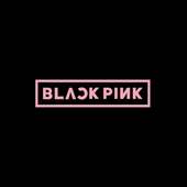 Black Pink - songs, photos, lyrics (Offline)