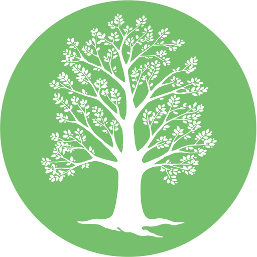 New Life School icon