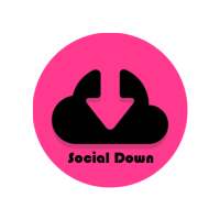 Social Down Status Saver