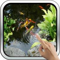 Magic Touch: Realistic Koi Live Wallpaper on 9Apps