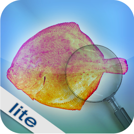 Fishbook Lite icon