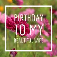 Birthday To My Beautiful Wife