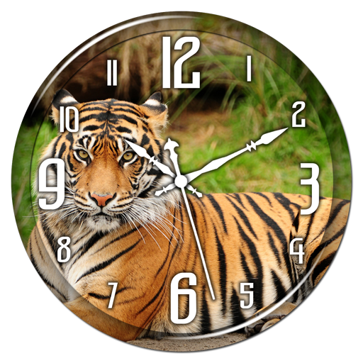 Tiger Clock Live Wallpaper icon