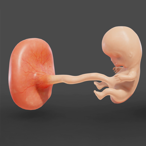 Fetus Arcade icon