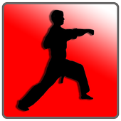 How To Do Karate icon