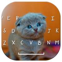 Kitty Cute Cat Keyboard on 9Apps
