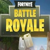 Battel Royale wallpaper HD icon