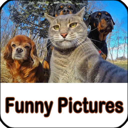 Funny Pictures Jokes icon