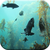 Aquarium HD Live Wallpaper icon