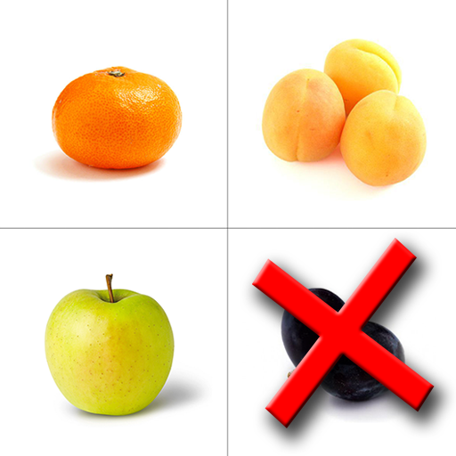 Odd One Out (no ads) icon