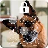 Clever German Shepherd Dog HD Lock Pass Code on 9Apps