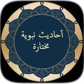 أحاديث نبوية مختارة بدون نت on 9Apps