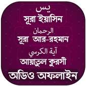 সূরা ইয়াসিন -আর রহমান- আয়াতুল কুরসি (অডিও অফলাইন) on 9Apps