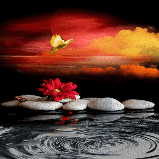 White Stone Live Wallpaper icon