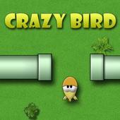 Crazy Bird icon
