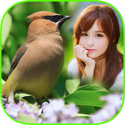 Bird Frame Collage icon