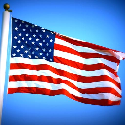 50 US States Map, Capitals &amp; F icon