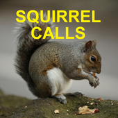 Squirrel Hunting Calls icon