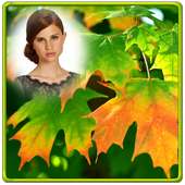 Autumn Photo Frames on 9Apps