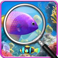 Find 10 Differences.