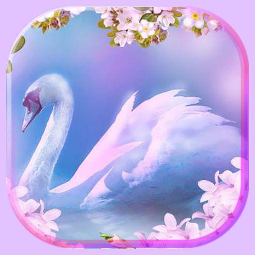 Spring Swans Live Wallpaper icon