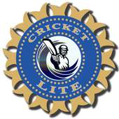 Cricket lite
