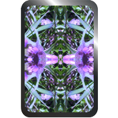 wallpaper mirrored daydreams icon