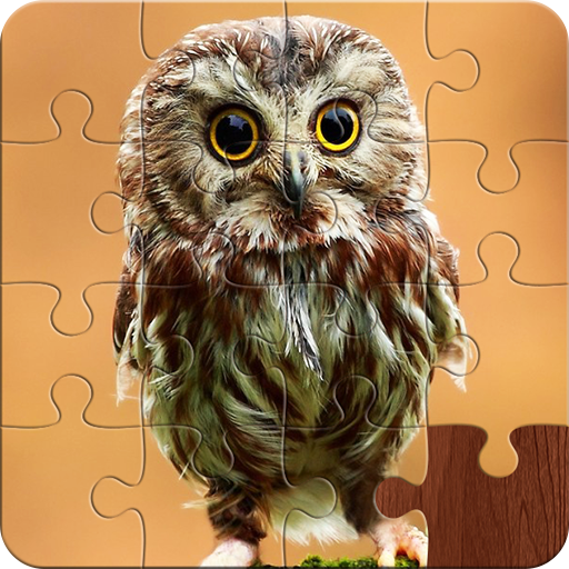 Amazing Birds - Jigsaw Puzzles icon