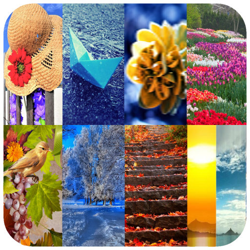 All Seasons Wallpaper icon