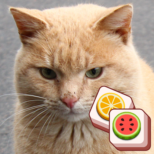 Cat match puzzle: block puzzle icon
