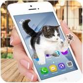 Cat Walks in Screen Cute joke