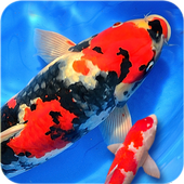 Fish Live Wallpaper 2018: Free Fish Screensaver 3D icon