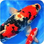 Fish Live Wallpaper 2018: Free Fish Screensaver 3D