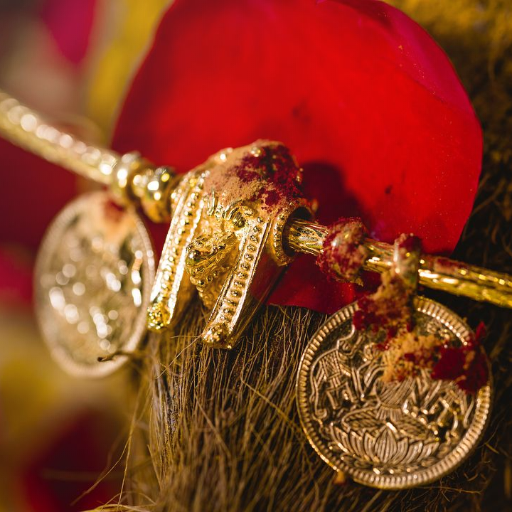 திருமண பொருத்தம் - Thirumana Porutham Tamil icon