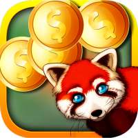 Lesbians-Dating App Win Daily Real Jackpot Money